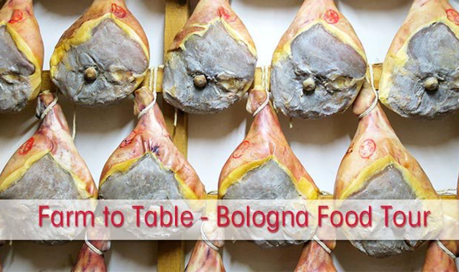 Farm to Table Bologna Food Tour with Italian Days